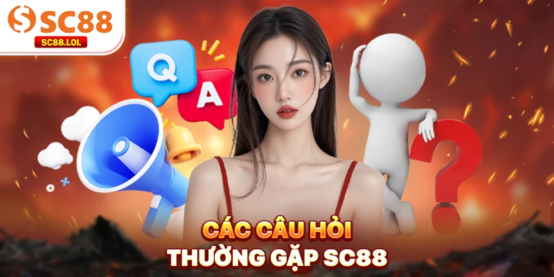 Các câu hỏi thường gặp