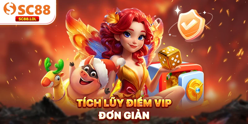 Tích lũy điểm VIP đơn giản
