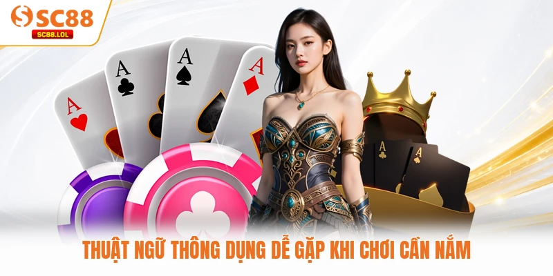 Thuật ngữ thông dụng dễ gặp khi chơi cần nắm